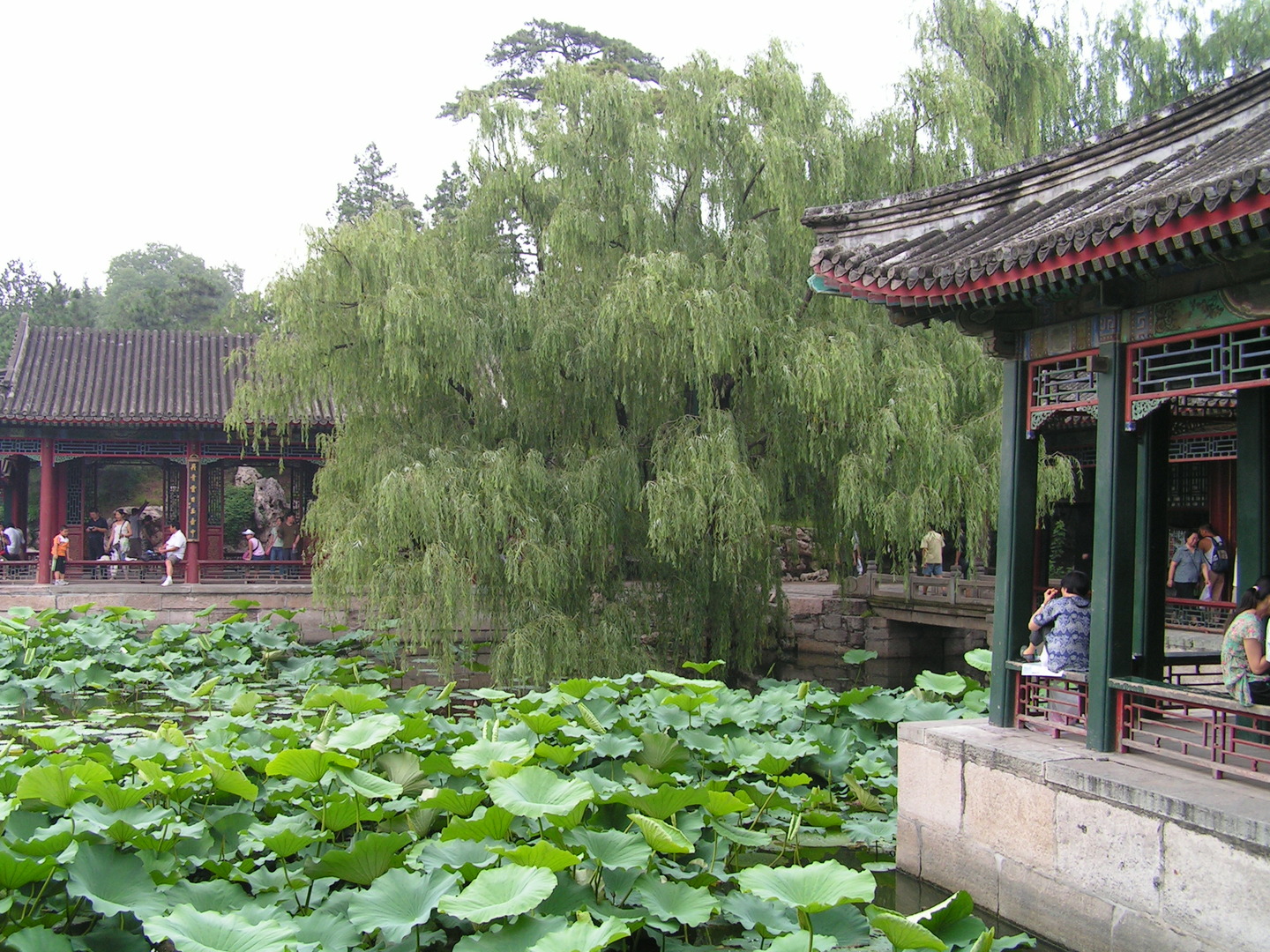 Beijing_20060724_016.jpg